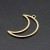 ZSS369 Zawieszka do biżuterii stal nierdzewna IP księżyc 18x26mm złota 18K