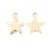 ZSS388 Zawieszka do biżuterii gwiazdka 8,5x10mm stal nierdzewna złota 2szt