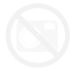 ZSS306 Zawieszka do biżuterii stal nierdzewna gwiazda 10x13mm